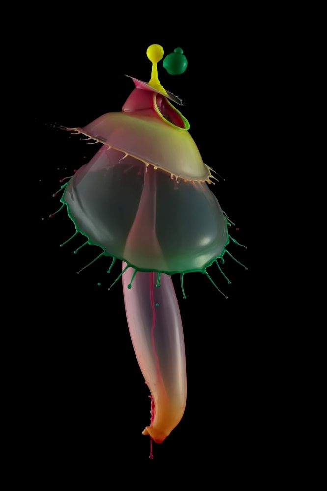 Фотография автора Илан Грабоис