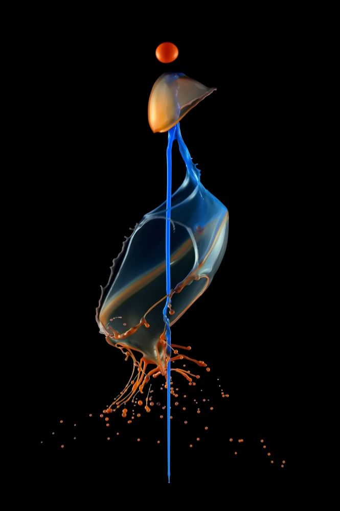 Фотография автора Илан Грабоис