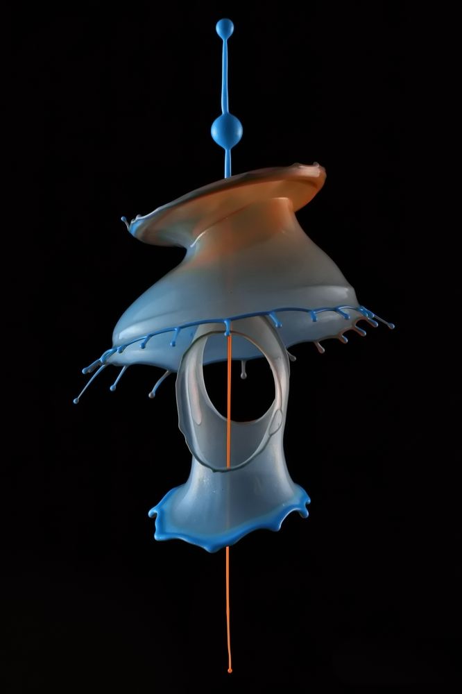 Фотография автора Илан Грабоис