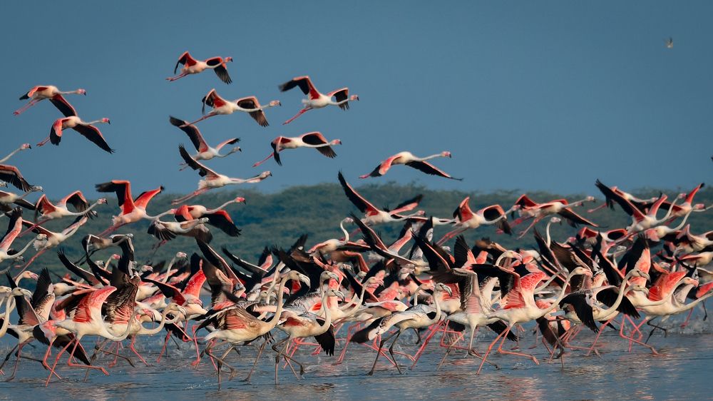 Photograph by Lahiru Pathirana