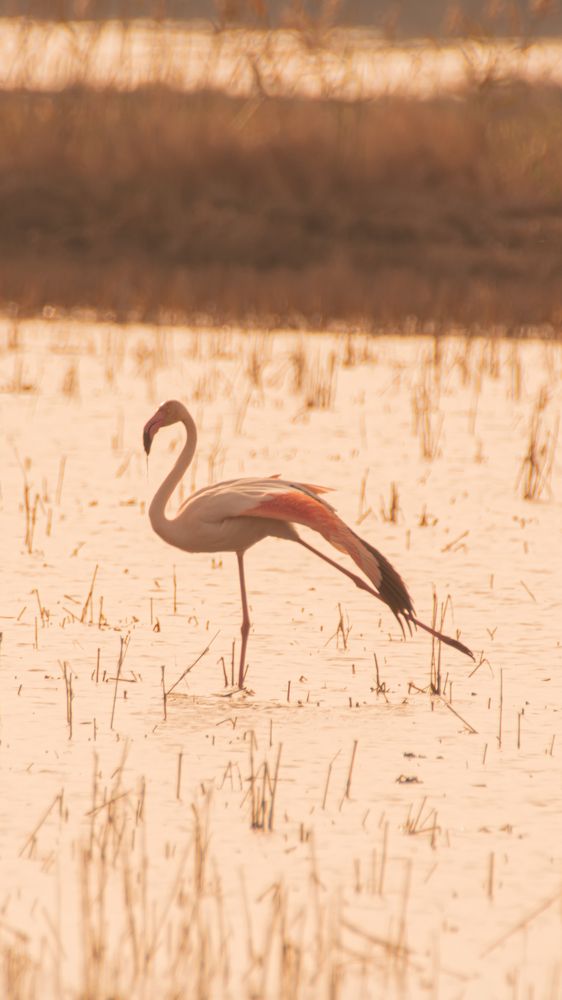 Photograph by Jessica Rojas