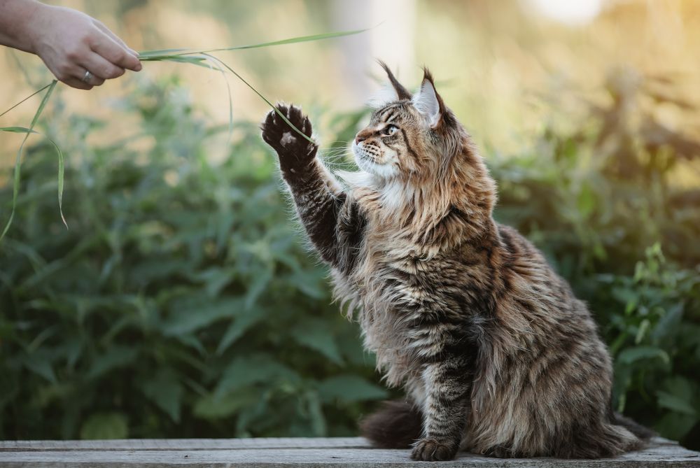 Photograph by Максим Кукурунд