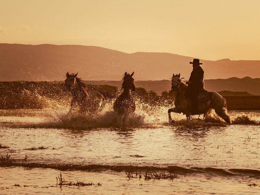 Фотография автора El Karailieva
