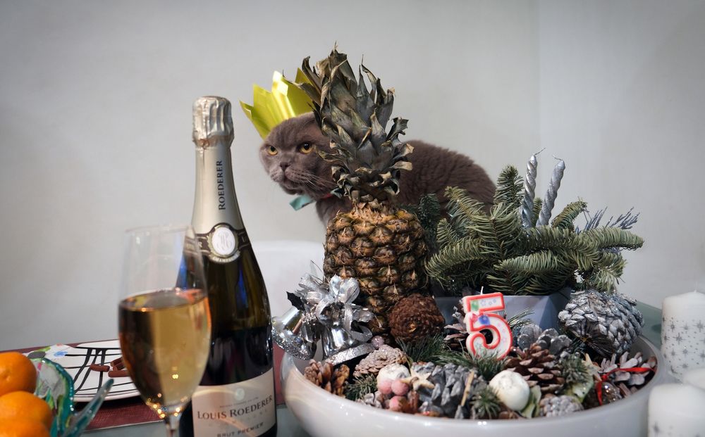 Photograph by Виктор Ремишевский