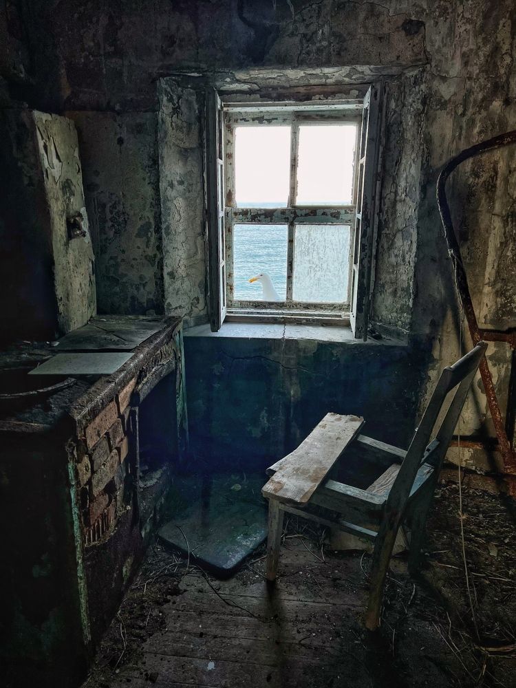 Фотография автора Дмитрий Дон