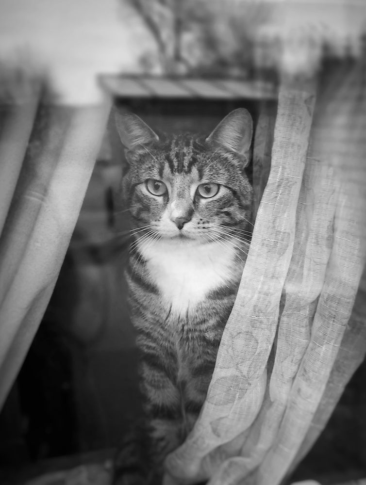 Фотография автора Alina Filimonova