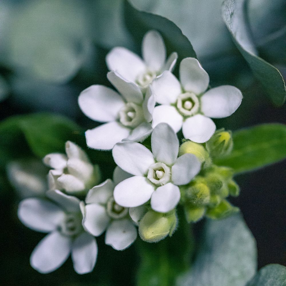 Photograph by Елена Иванова