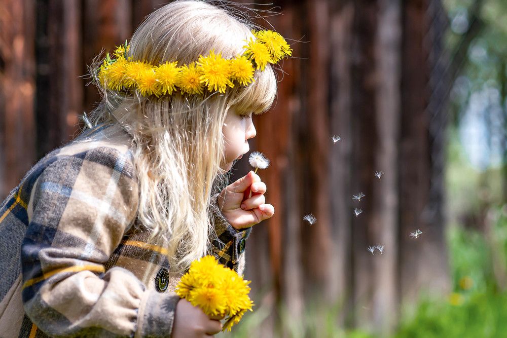 Photograph by Елена Баринова