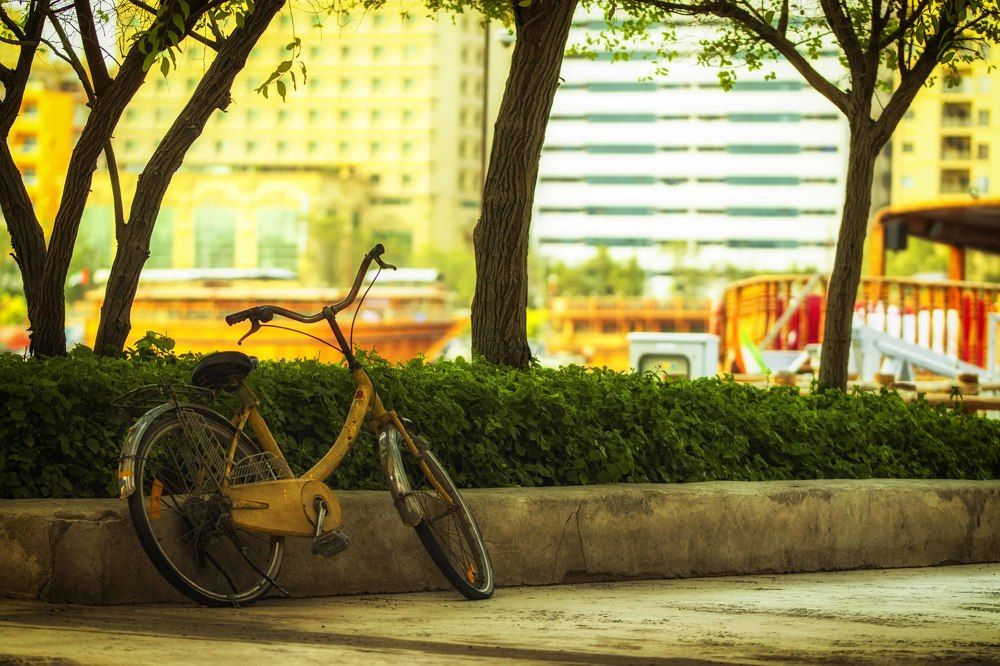 Фотография автора Mohsen Naranjani