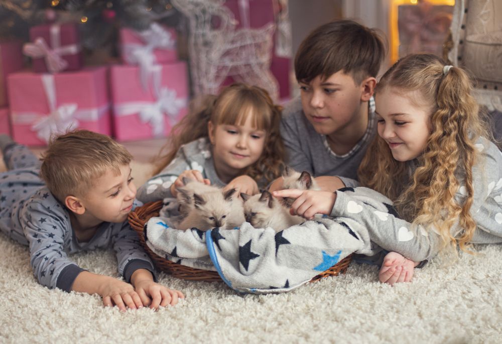 Фотография автора Татьяна Новаковская