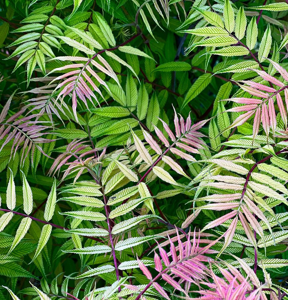 Photograph by Татьяна Капаева