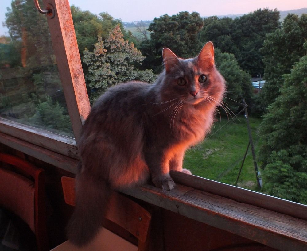 Photograph by Дмитрий Крылов