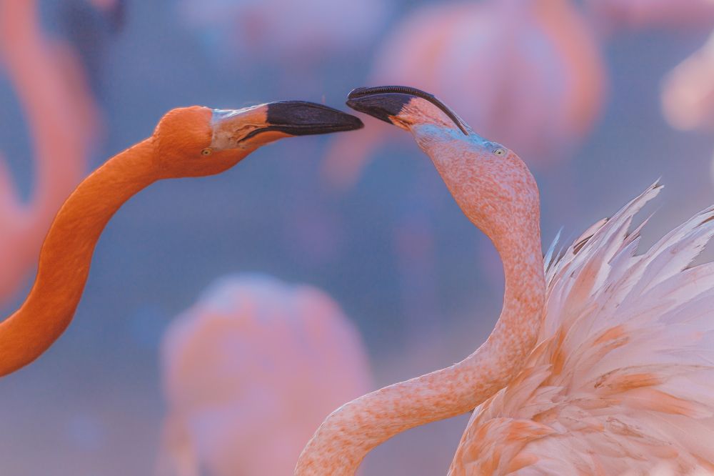 Photograph by ines godinez