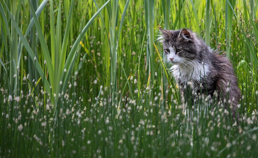 Photograph by Александр Есликов