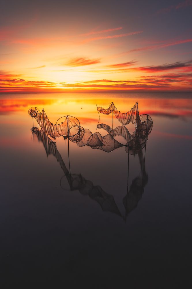 Photograph by Lluís Esteve Reverte Rosello