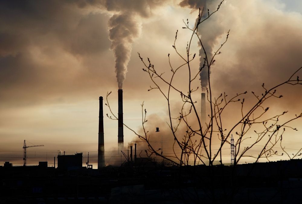 Photograph by Татьяна Шевцова