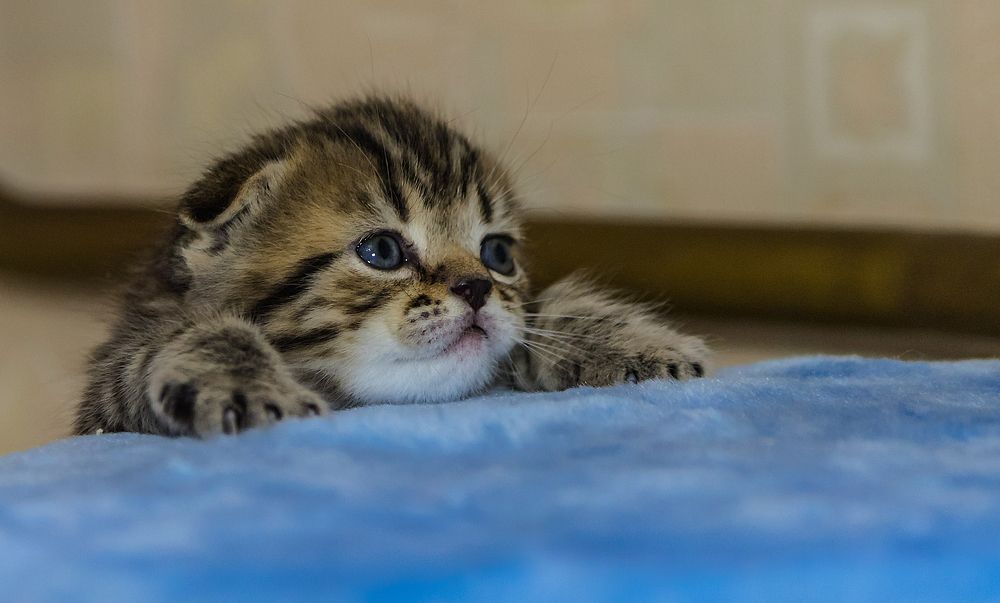 Photograph by Александр Есликов