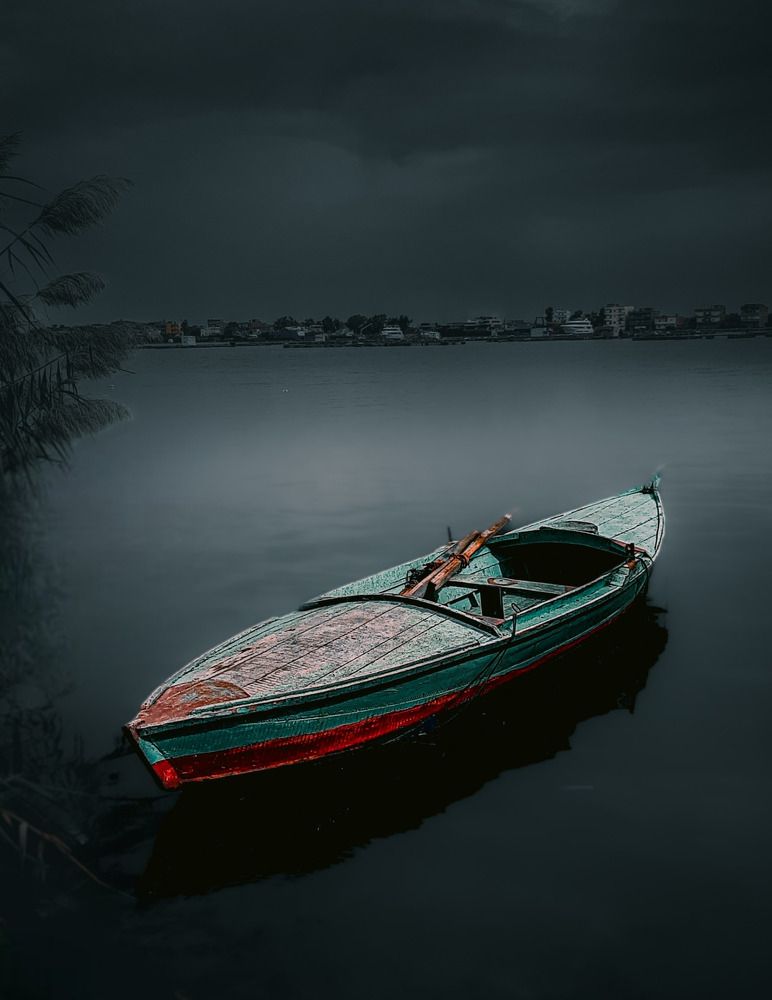 Photograph by Ahmed Fahmy