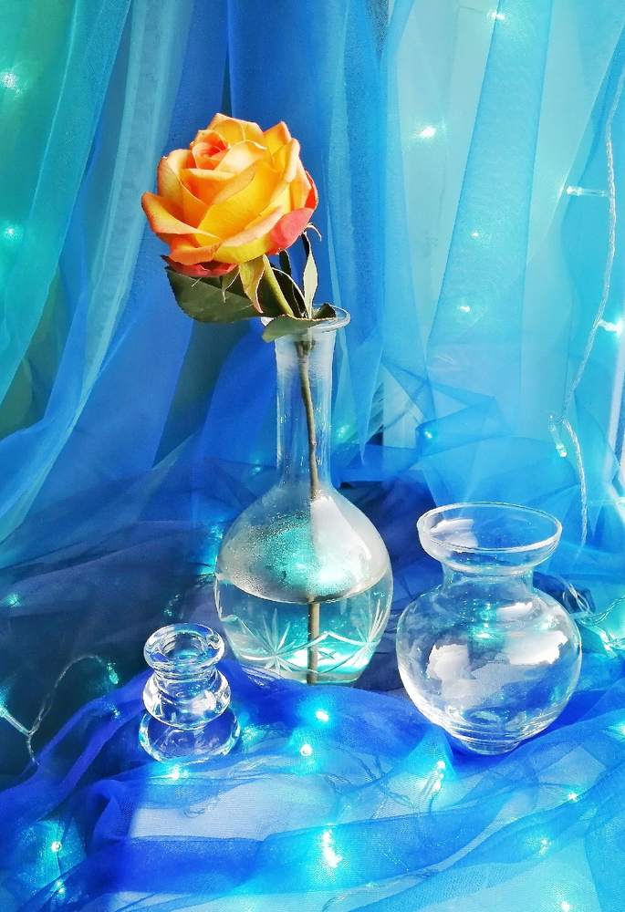 Photograph by Ольга Полякова