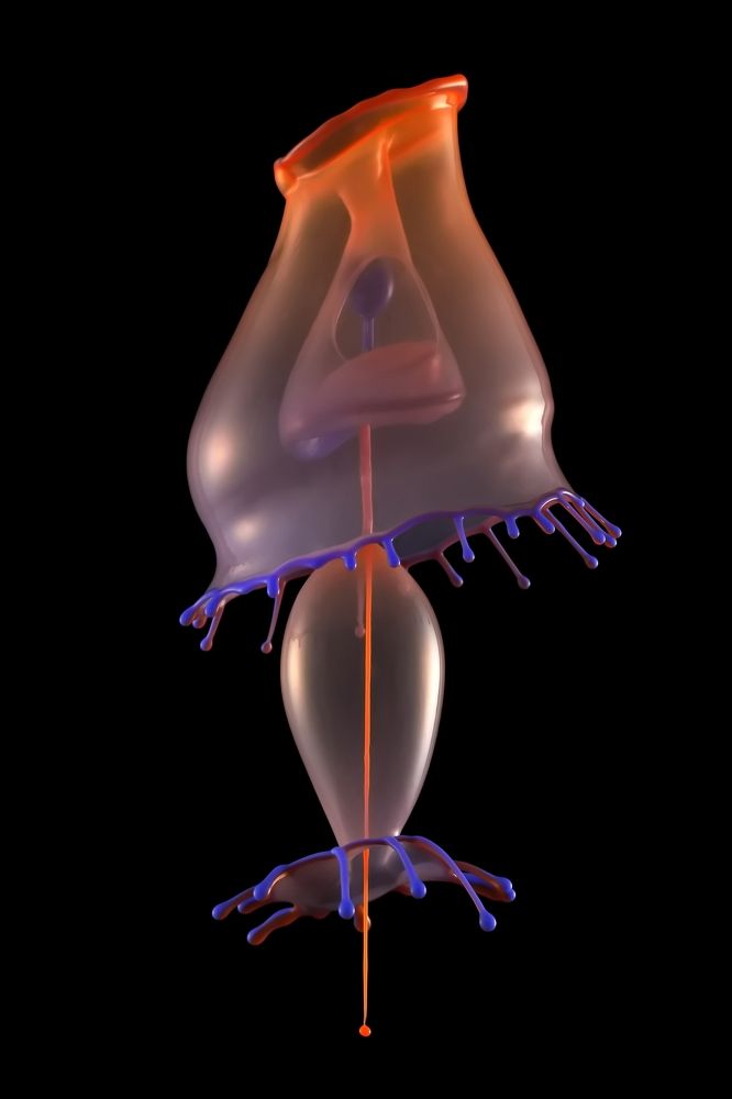 Фотография автора Илан Грабоис