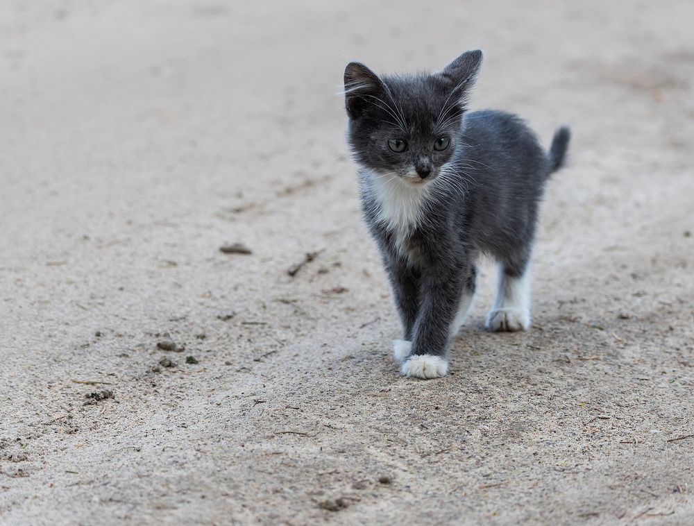 Photograph by Александр Есликов