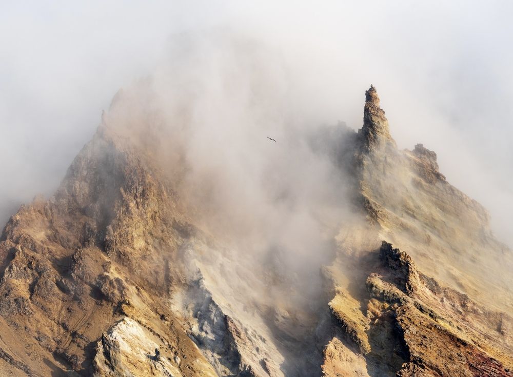 Фотография автора Дмитрий Дон