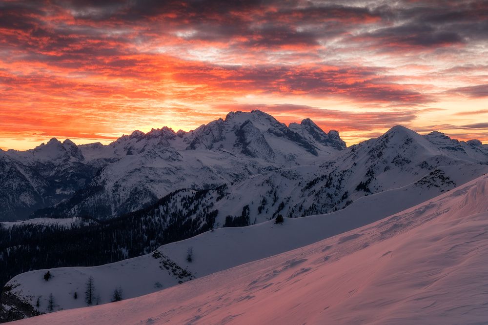 Photograph by Nicola Campanella