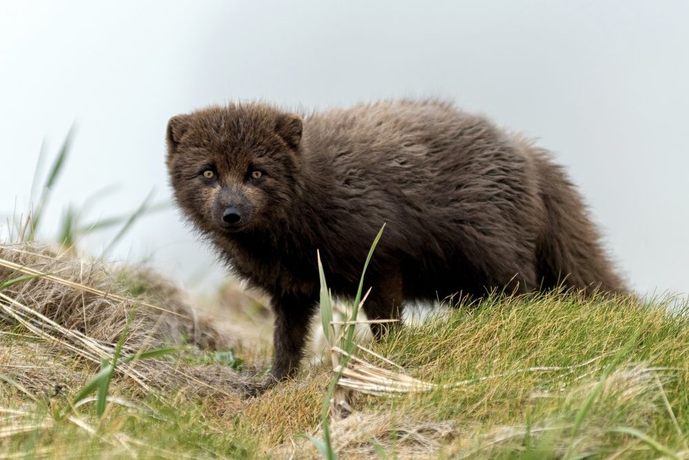 Фотография автора Дмитрий Дон