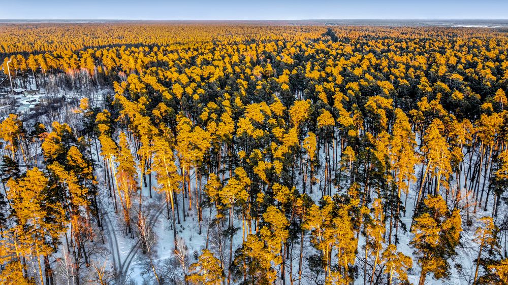 Photograph by АНДРЕЙ АБАКУМОВ