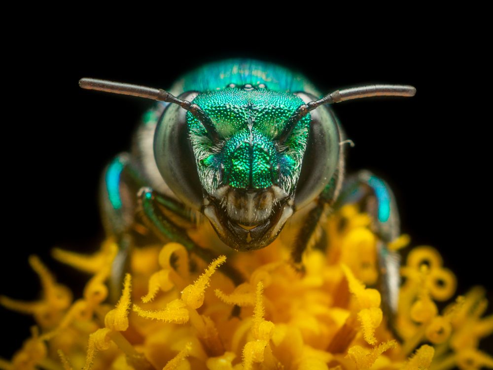 Photograph by Jose Martin Ceja Medina