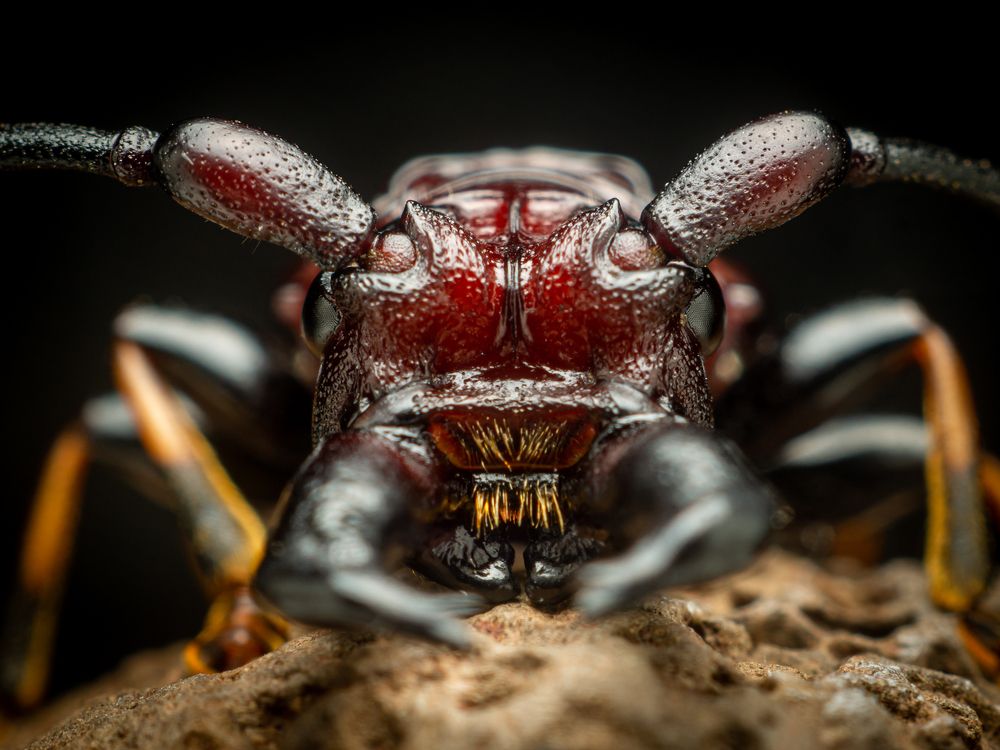 Photograph by Jose Martin Ceja Medina