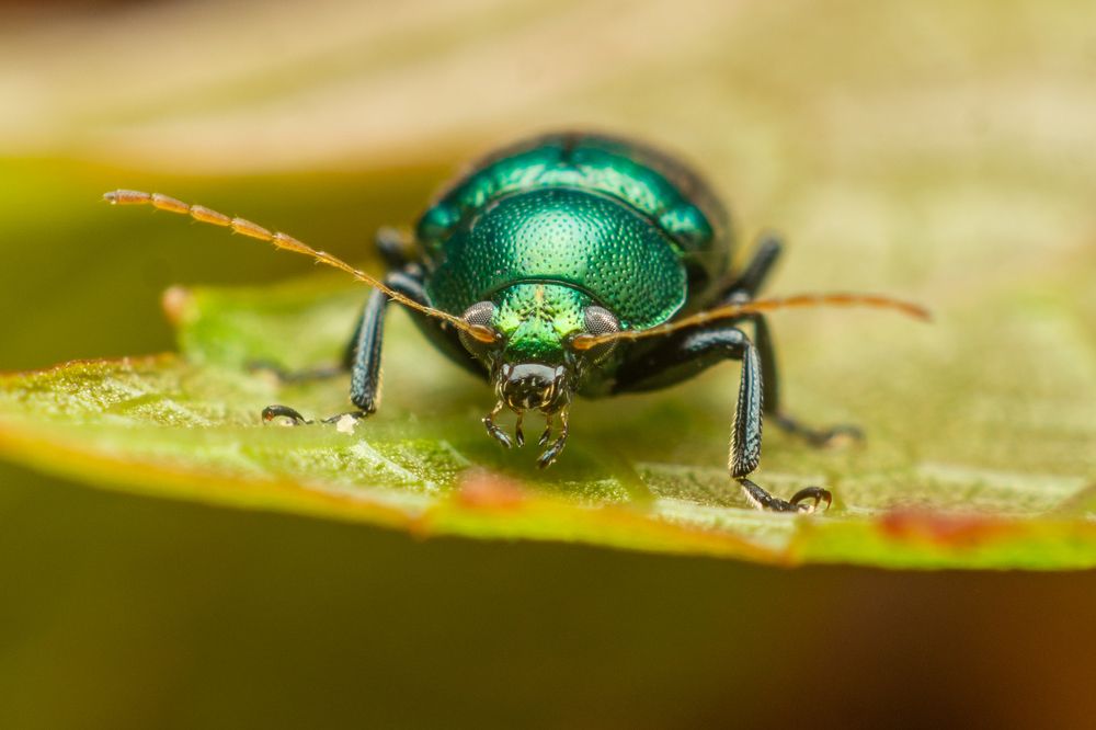 Photograph by Jose Martin Ceja Medina