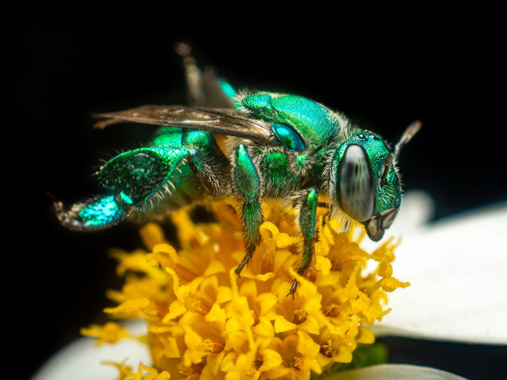 Photograph by Jose Martin Ceja Medina