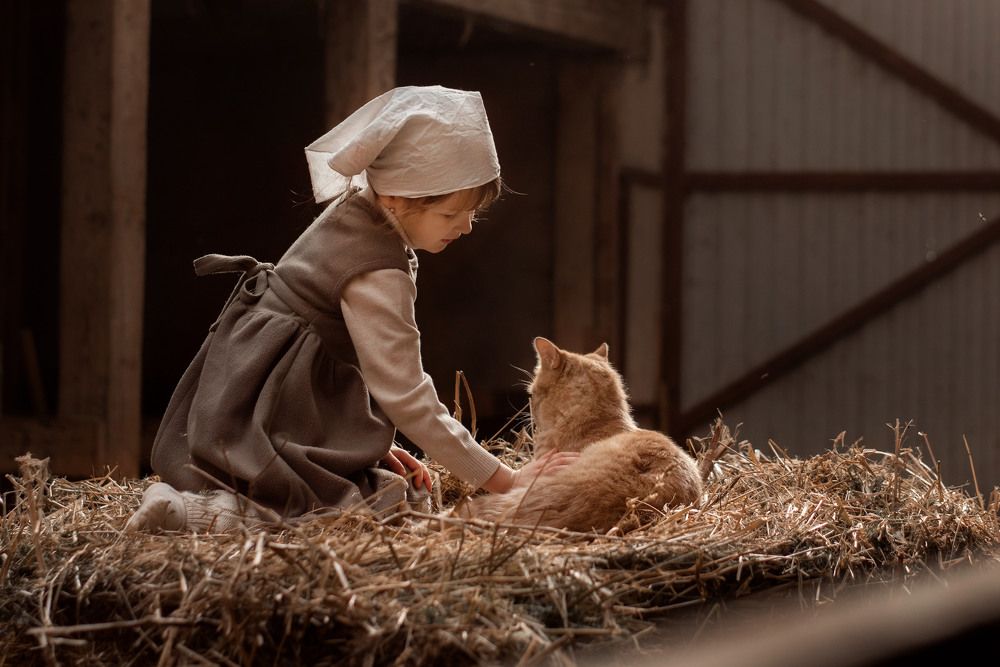Фотография автора Екатерина Шаманаева