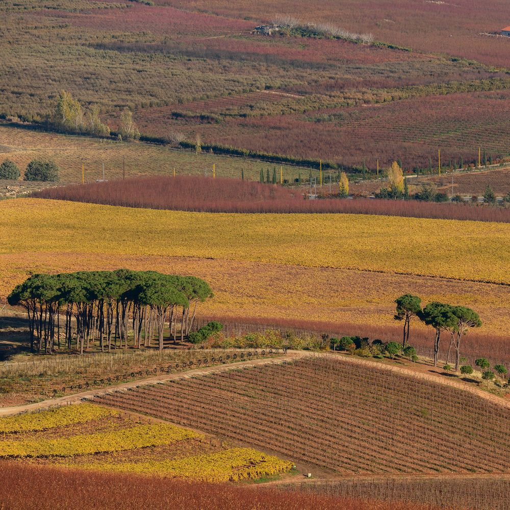 Photograph by Seif Eddine Alaa