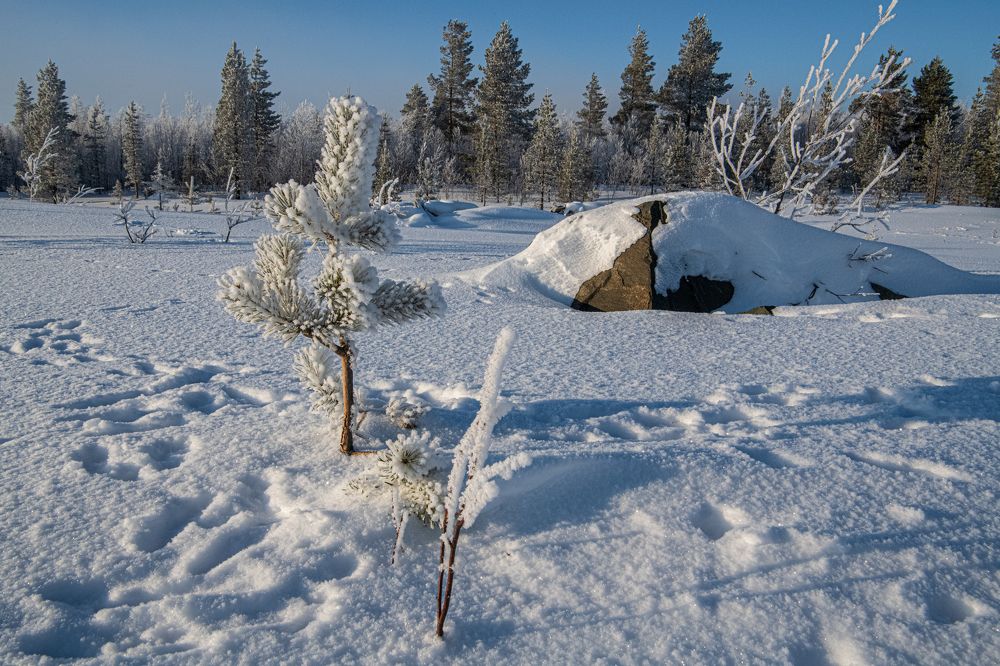 Photograph by Юрий Платухин