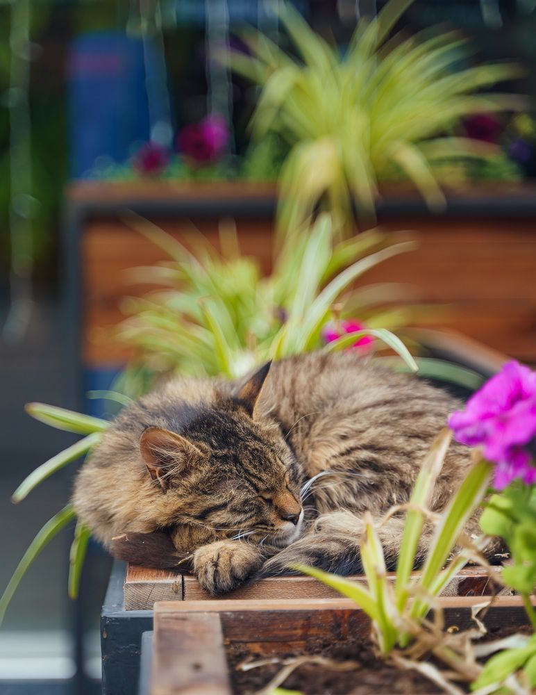 Photograph by Зелемхан Темирбулатов