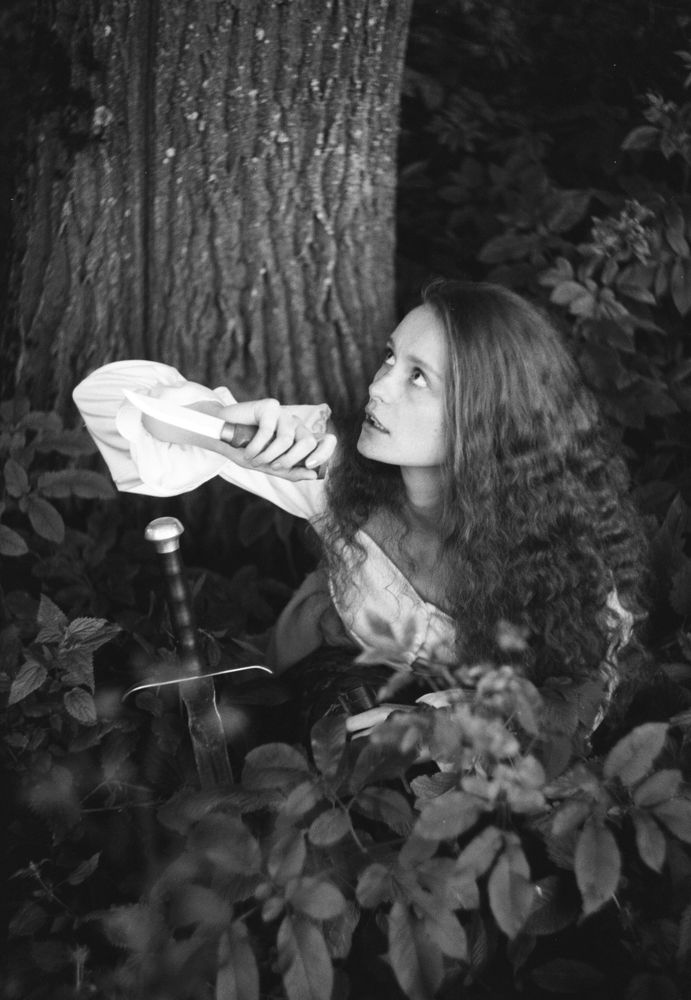 In the forest