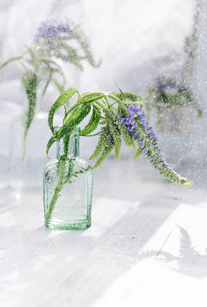 Photograph by Natalia Megelbey