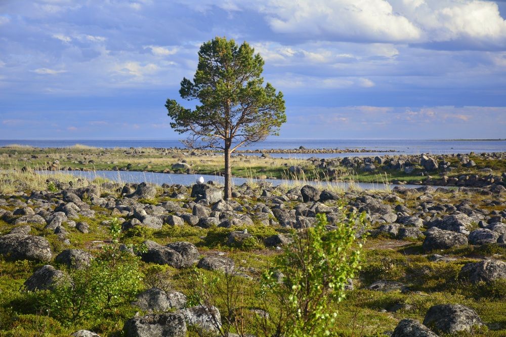 Photograph by Анастасия