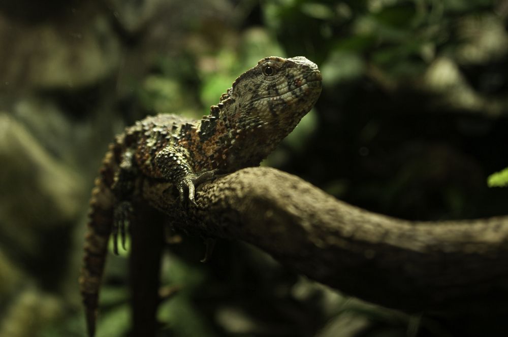 Photograph by Анастасия Блохина