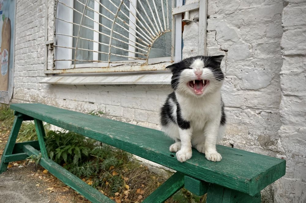 Село в Рязанской области