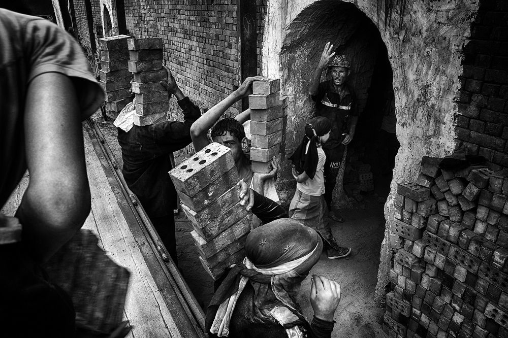 Photograph by  Shady