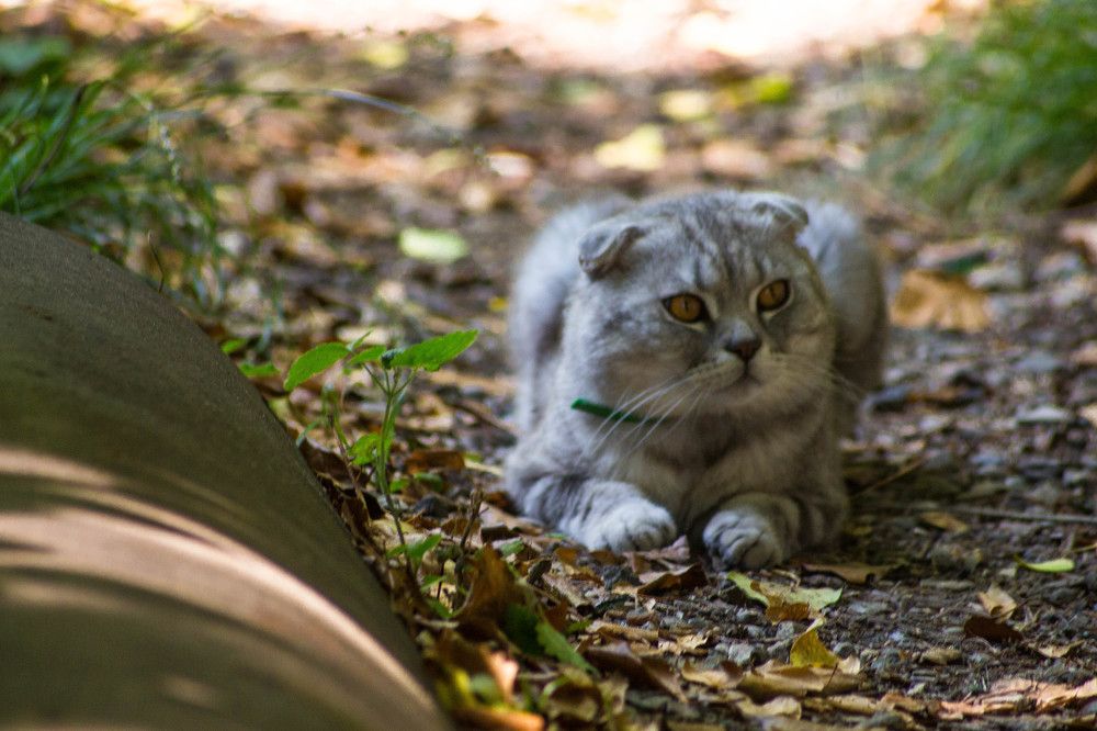 Photograph by Антон