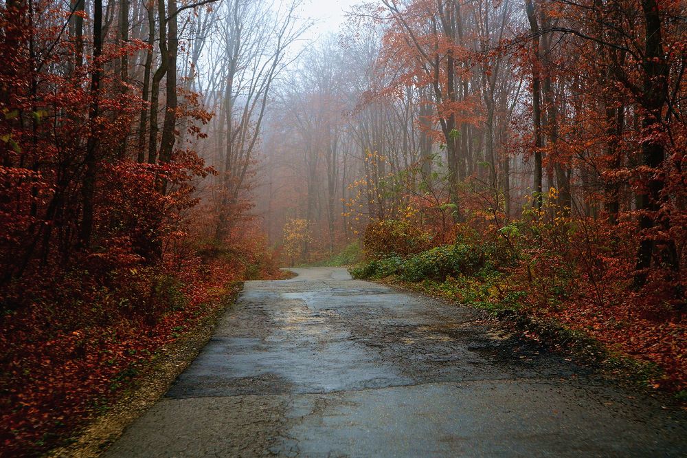 Photograph by Mirela Velicu