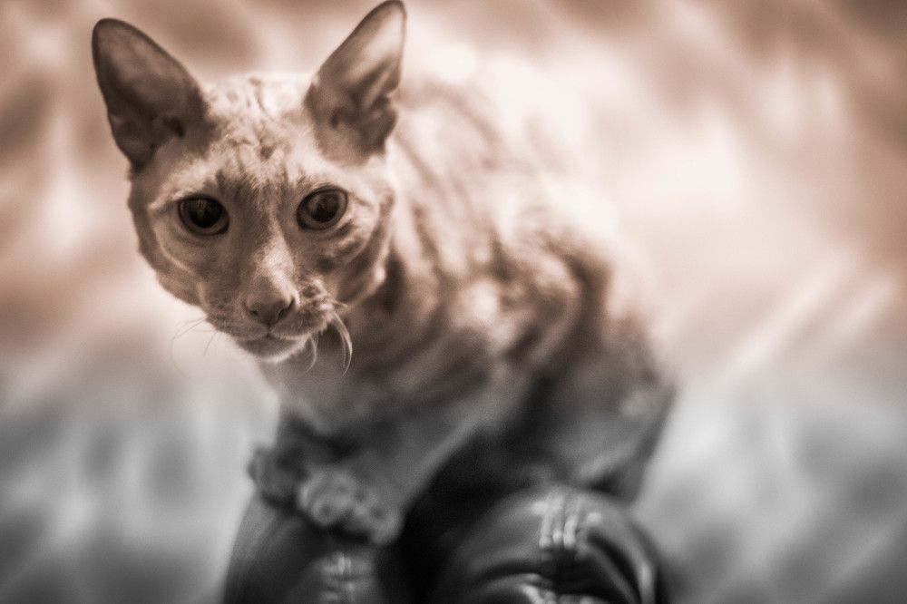 Photograph by Антон