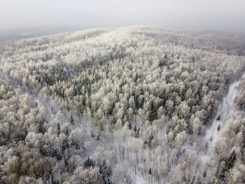 Photograph by Емельянов Алексей