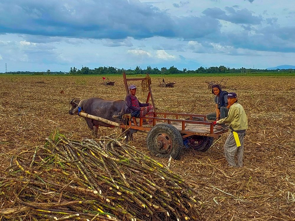 Photograph by Andrew Altarejos