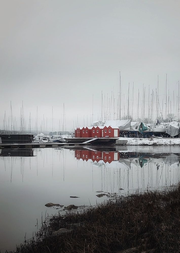 Фотография автора Alina Filimonova