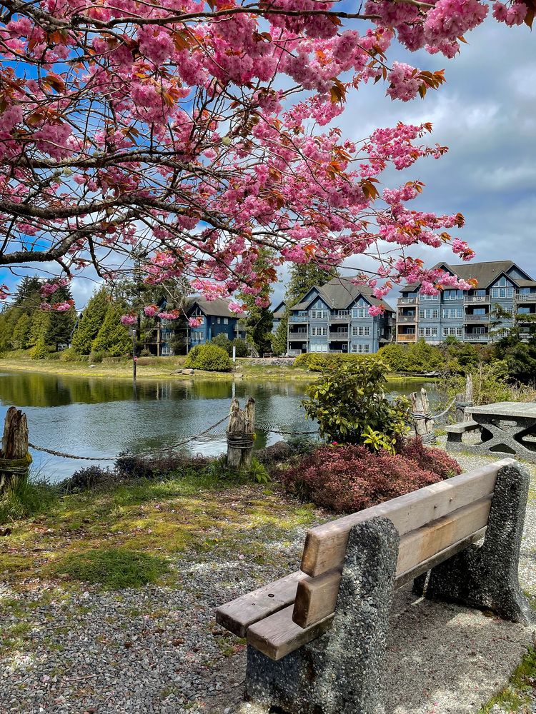 Photograph by Anton Photo